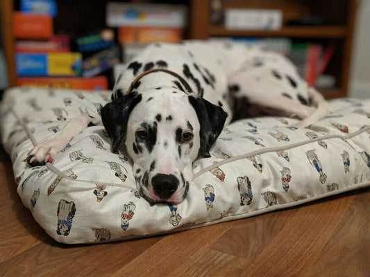 Dog Bed at Home