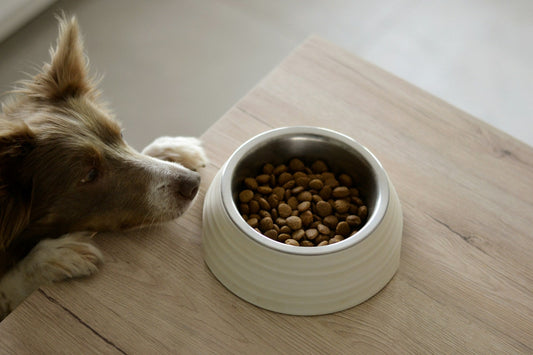 Elevated Dog Bowls