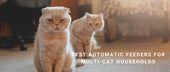 Best Automatic Feeders for Multi-Cat Households