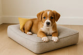 puppy resting on dog bed