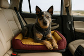 dog bed in car