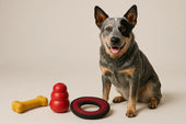 Dog with durable chew toys
