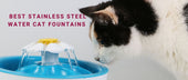 Best Stainless Steel Water Cat Fountains