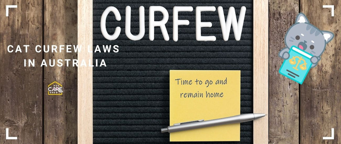 Australian Cat Curfew Laws