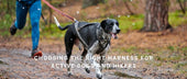 Choosing the Right Harness for Active Dogs and Hikers