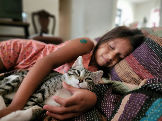Do cats sleep with their favorite person