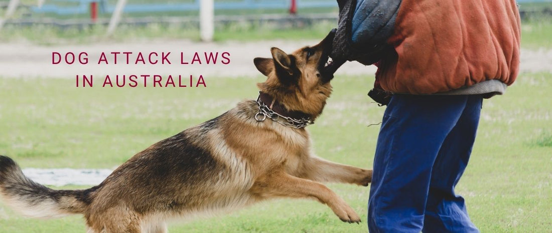 Dog Attack Laws in Australia