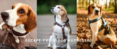 Proof Harnesses for Beagles, Jack Russells