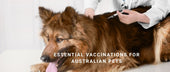 Essential Vaccinations for Australian Pets