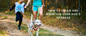 How to Clean and Maintain Your Dog’s Harness