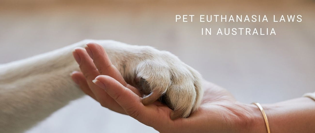 Pet Euthanasia Laws in Australia