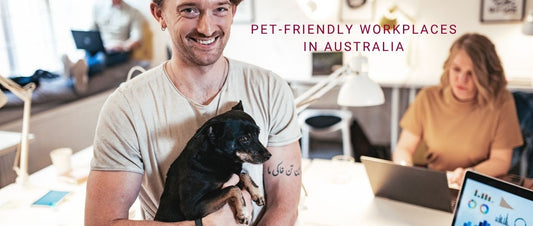 Pet-Friendly Workplaces in Australia