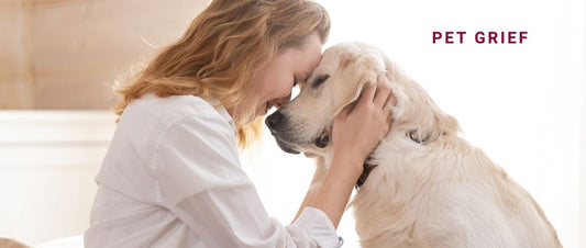 Pet Grief