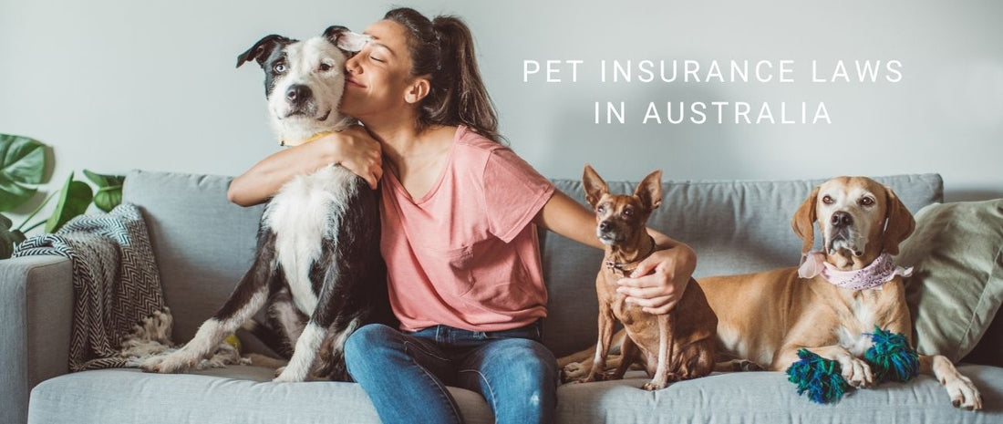 Pet Insurance Laws in Australia