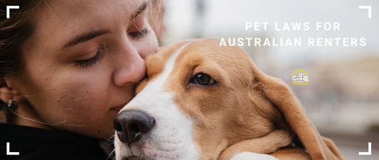 Pet Laws for Australian Renters