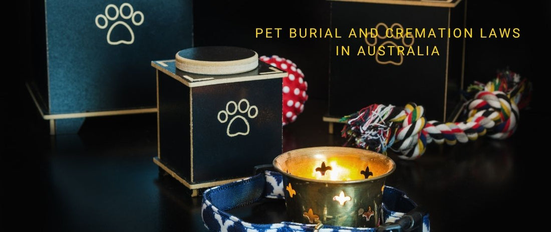 Australian Pet Burial and Cremation Laws