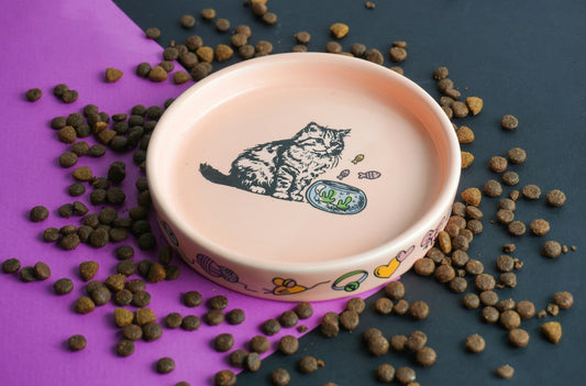 Strategies to Dog Proof Cat Food Bowls