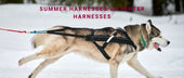 Summer Harnesses vs Winter Harnesses