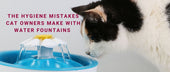 The Hygiene Mistakes Cat Owners Make with Water Fountains