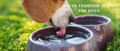 Water Fountain Design for Dogs: Materials, Filters & Hygiene You Should Know