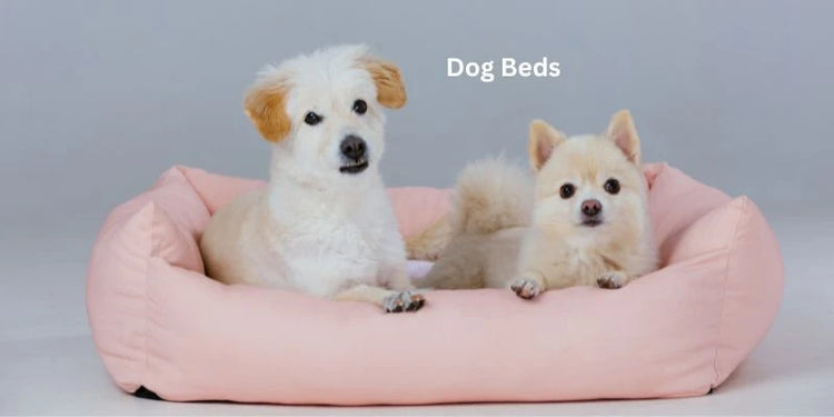 Dog Bed