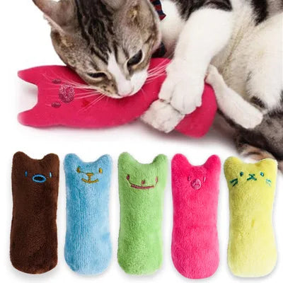 Catnip toys