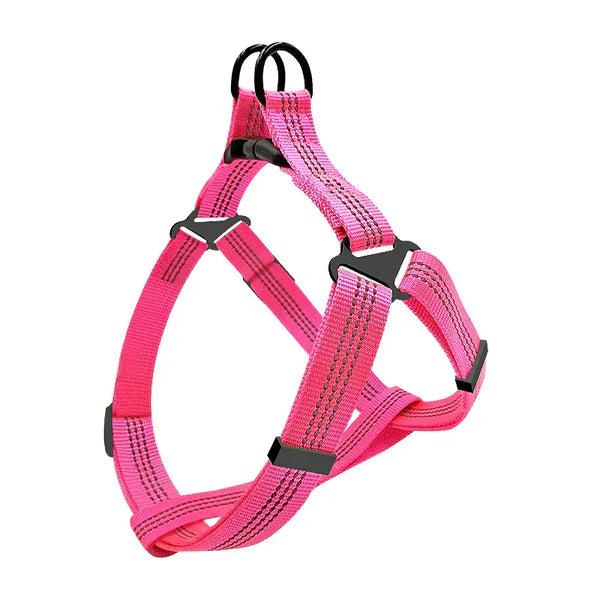 Dog car harness