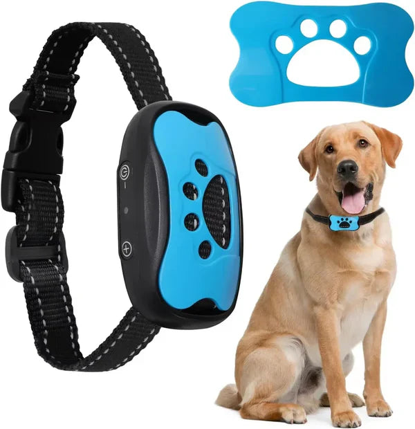 Electric dog collar