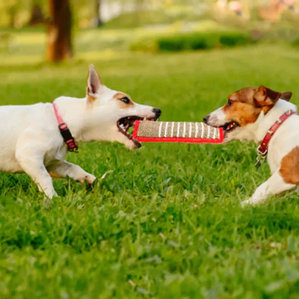 Dog tug toy