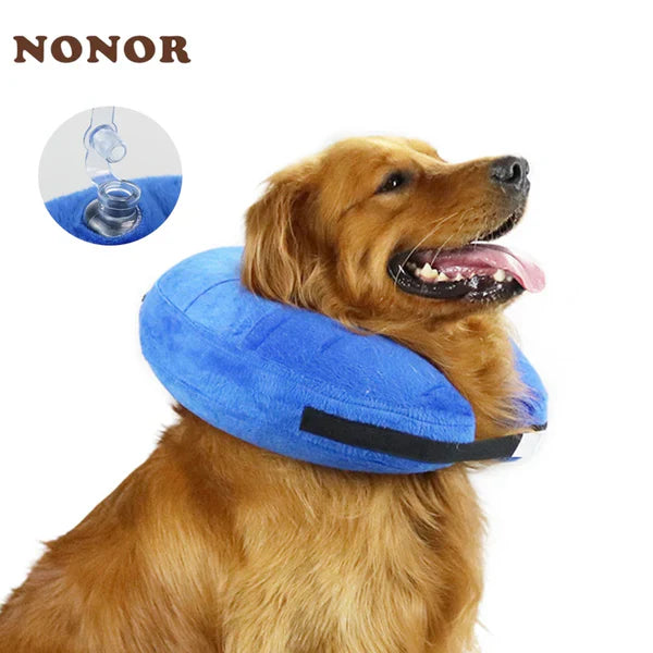 Inflatable dog collar