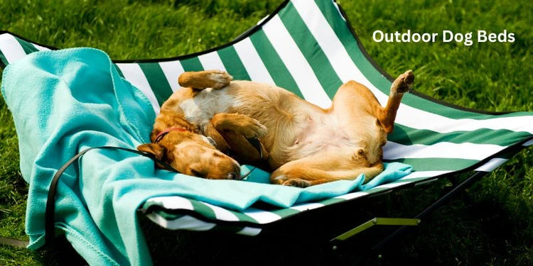 Outdoor Dog Beds