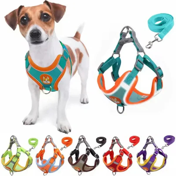 Small dog harness