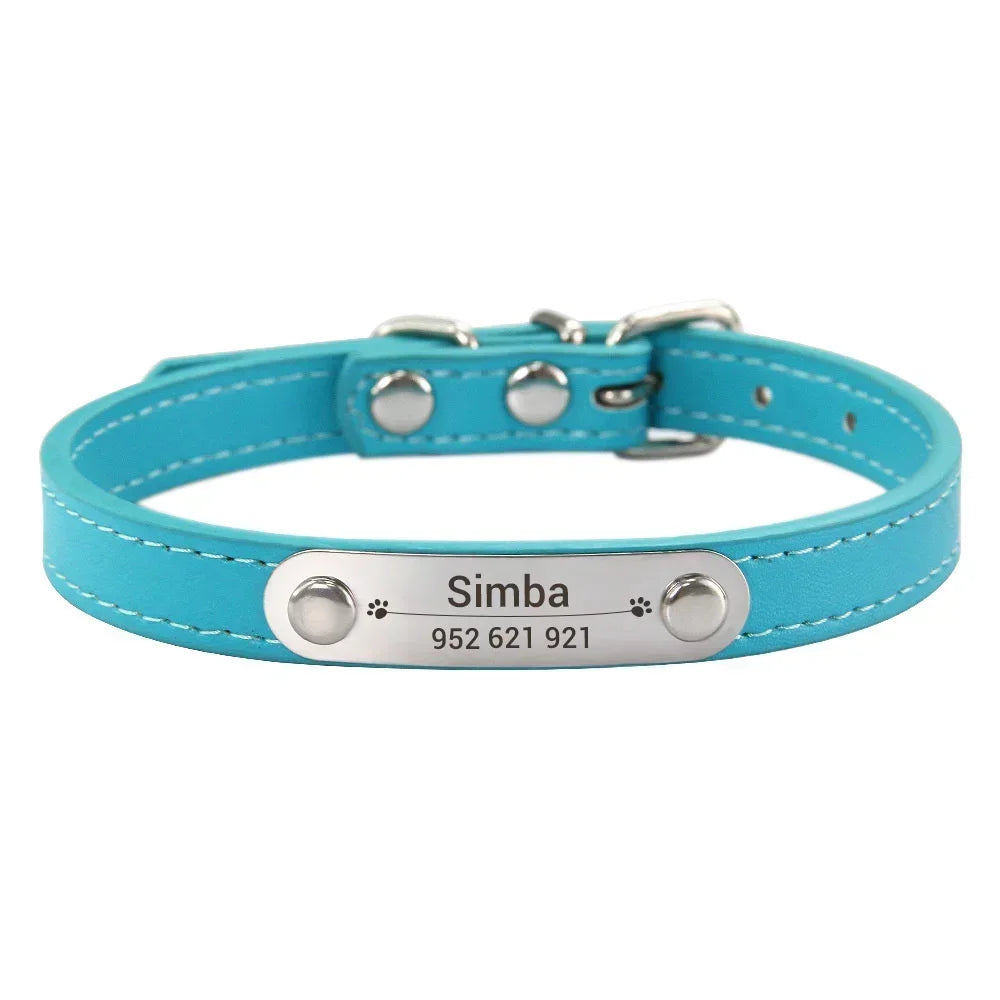 Cat dog collar with name lake blue