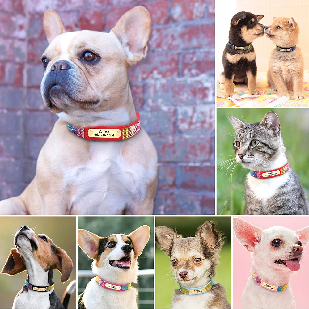 Customized Collar Bling Rhinestone for Cat Puppy Necklace