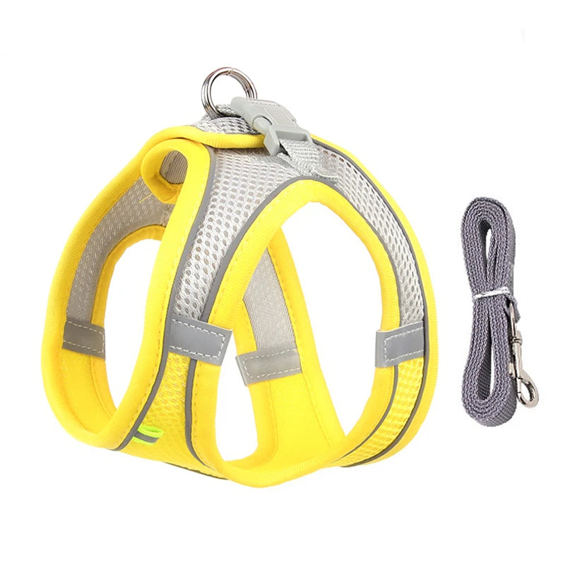 Yellow colour dog lead and harness