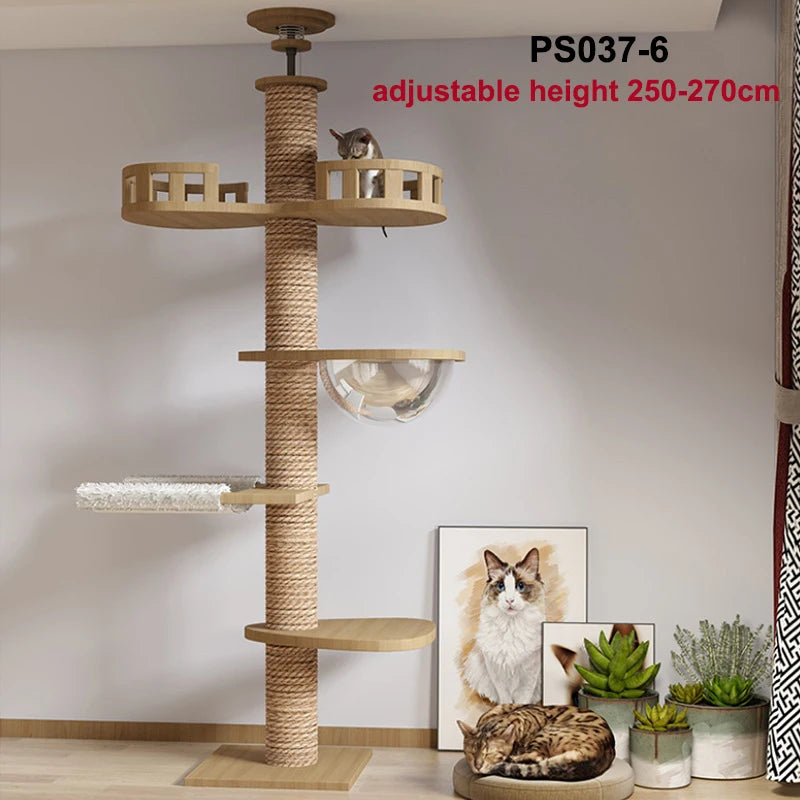 Cat Tower Australia: Floor-to-Ceiling Cat Tree Scratcher and Hammock