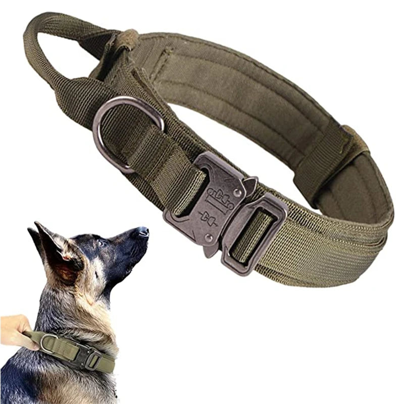 Green dog collars