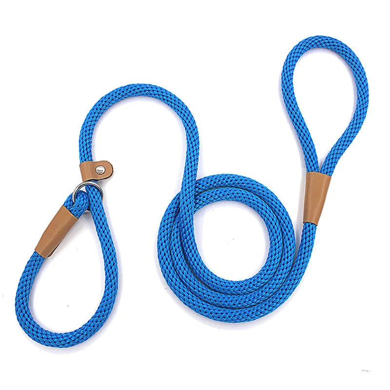 Nylon Slip Lead Dog Leash for No Pull Training