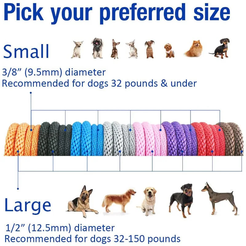 Nylon Slip Lead Dog Leash for No Pull Training