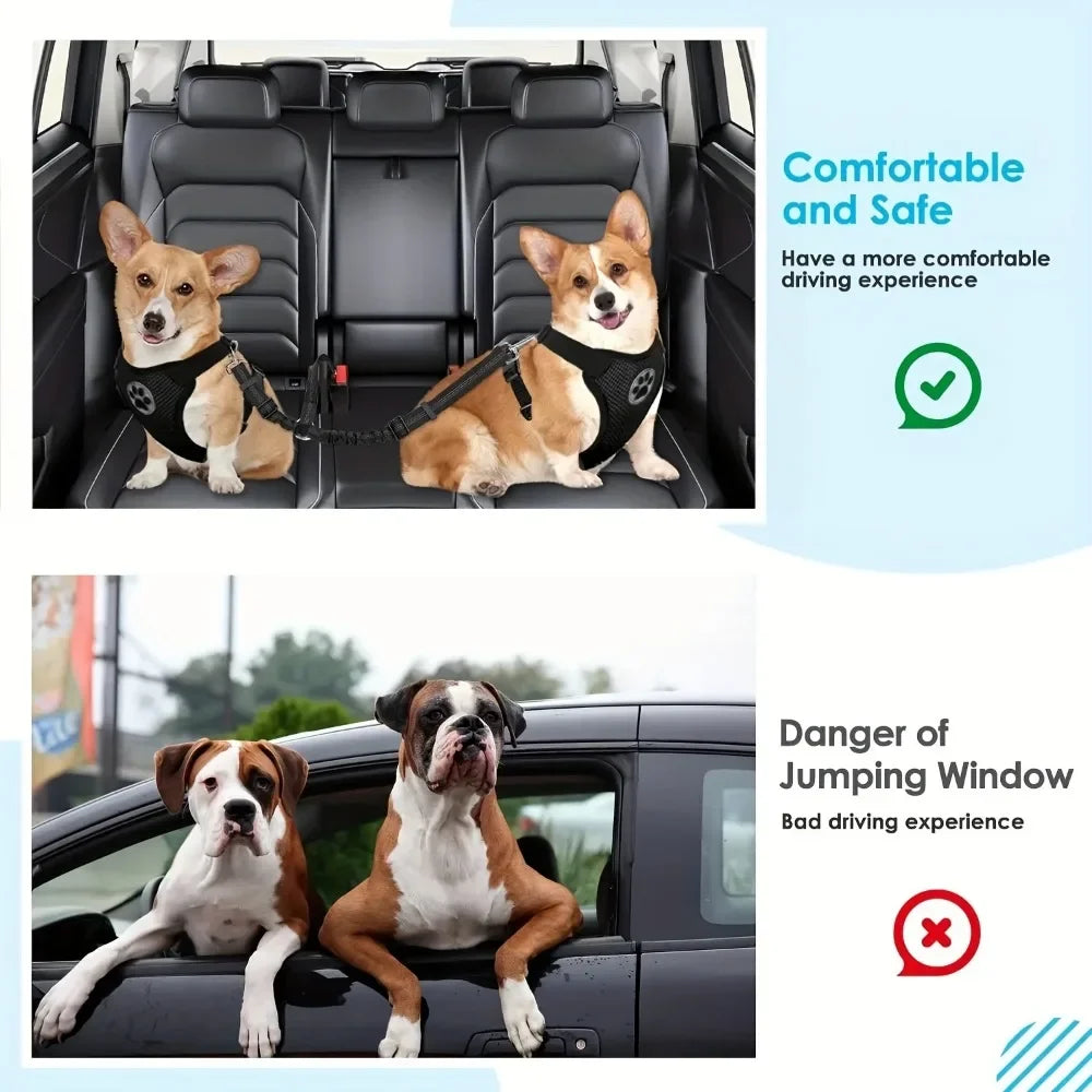 Double Dog Safety Seat Belt Adjustable Elastic Car Harness