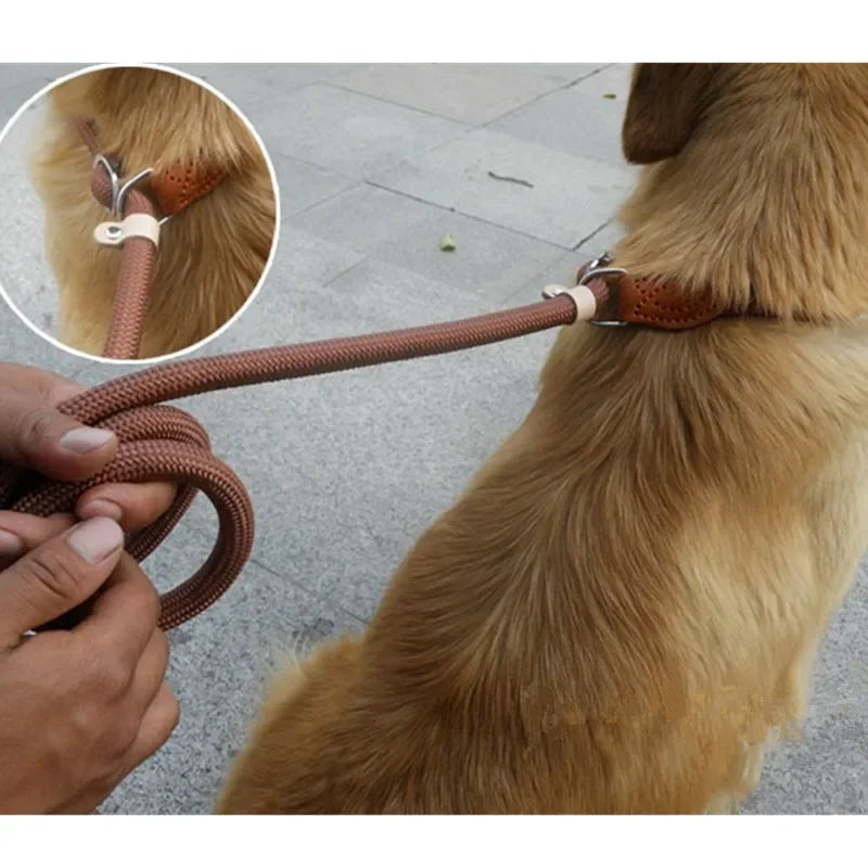 Dog Walking Leash Slip Rope: Heavy Duty Braided Rope Adjustable Loop Collar