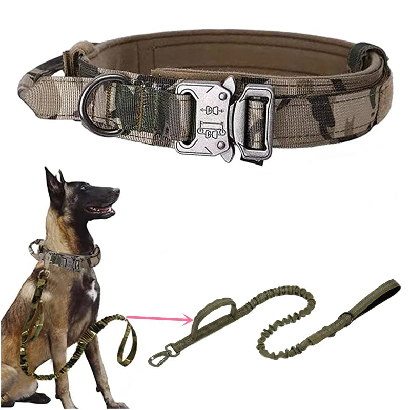 Military-grade dog collars with leash