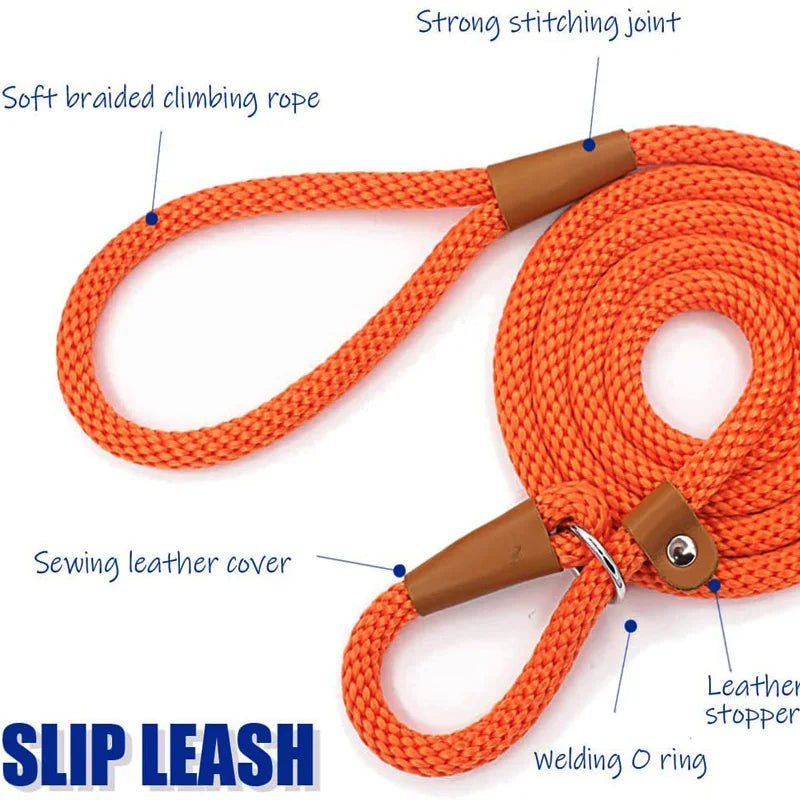 Nylon Slip Lead Dog Leash for No Pull Training