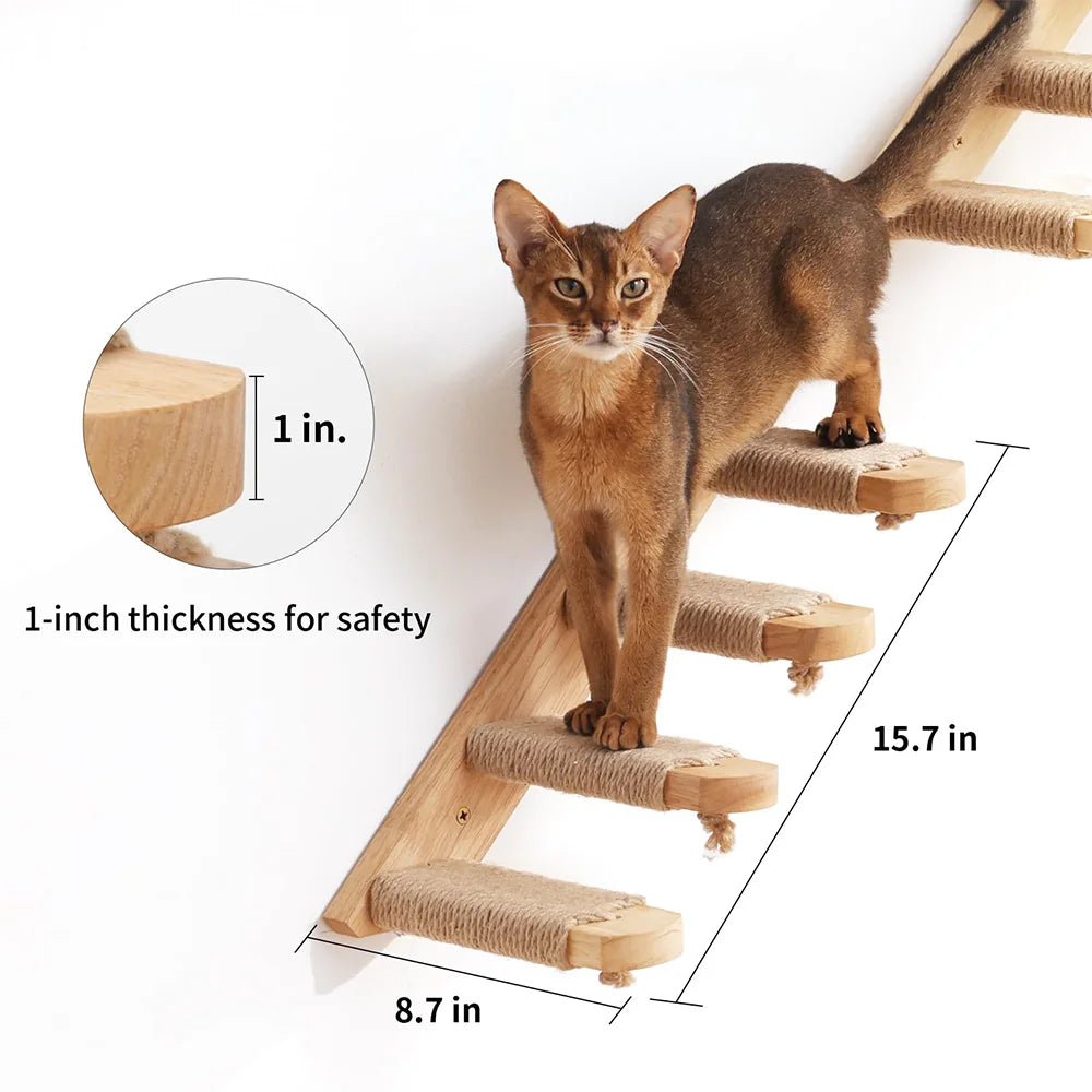 Wall Mounted Cat Hammock Bed and Scratching Post