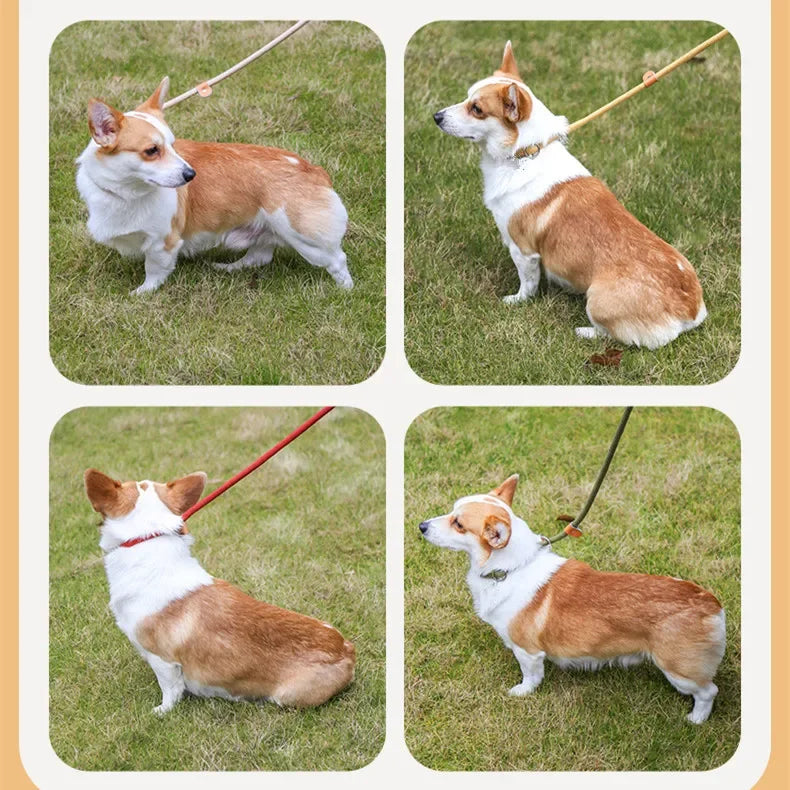 Dog Walking Leash Slip Rope: Heavy Duty Braided Rope Adjustable Loop Collar