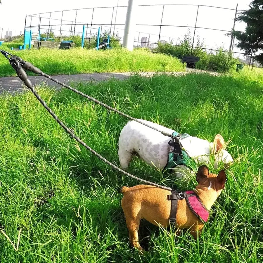 Dual Dog Leash - 360 Swivel Walking Leash for Small Dogs