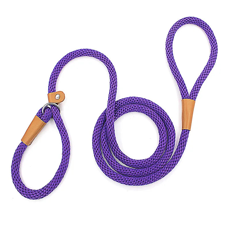 Nylon Slip Lead Dog Leash for No Pull Training