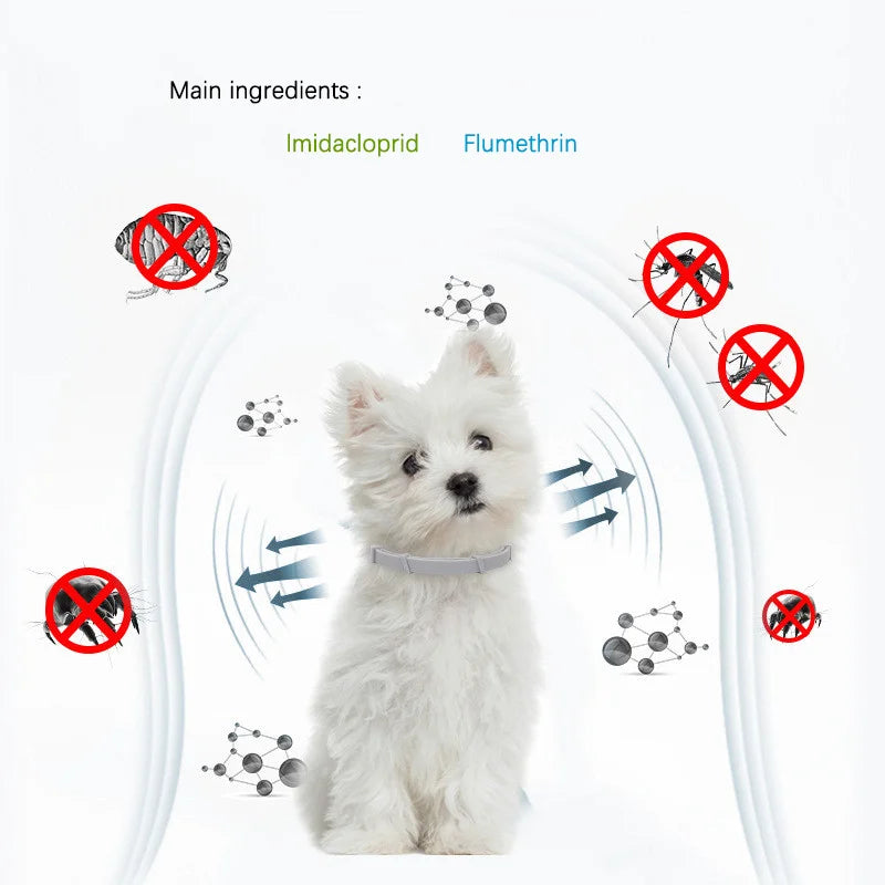 Pet Anti Flea Ticks Antiparasitic Collar for Cat and Dog