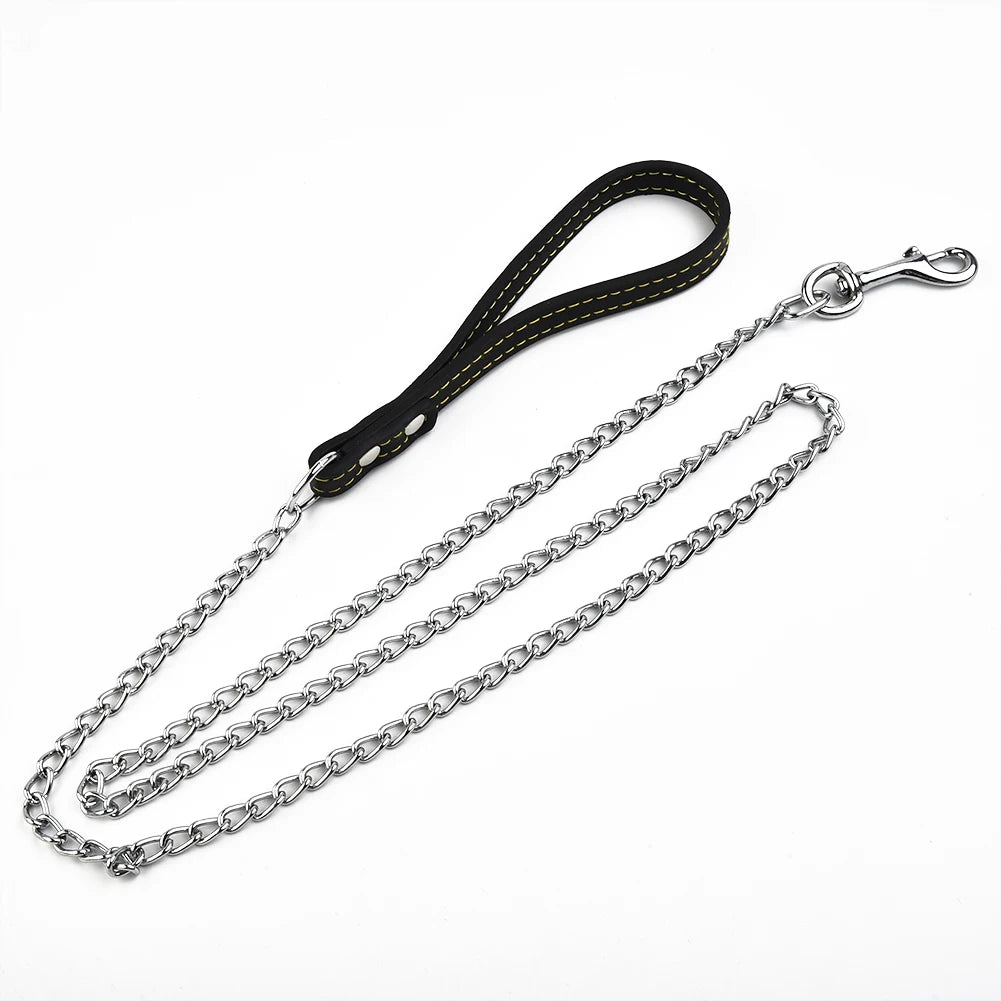 Metal chain dog leash
