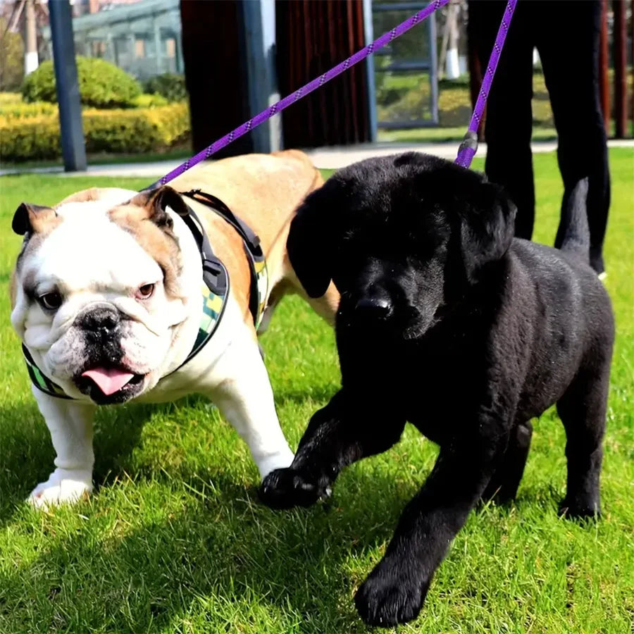 Dual Dog Leash - 360 Swivel Walking Leash for Small Dogs